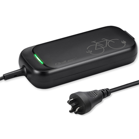 Szybka ładowarka do roweru elektrycznego QOLTEC 