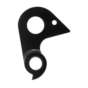 Hak przerzutki R-RAYMON #9