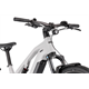 Rower elektryczny R-RAYMON Crossray