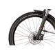 Rower elektryczny R-RAYMON CrossRay E 5.0 Gent