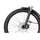 Rower elektryczny R-RAYMON CrossRay E 5.0 Gent 9S M350