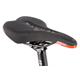 Rower elektryczny R-RAYMON CrossRay E 5.0 Gent 9S M350
