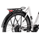 Rower elektryczny R-RAYMON CrossRay E 5.0 Wave 9S M350