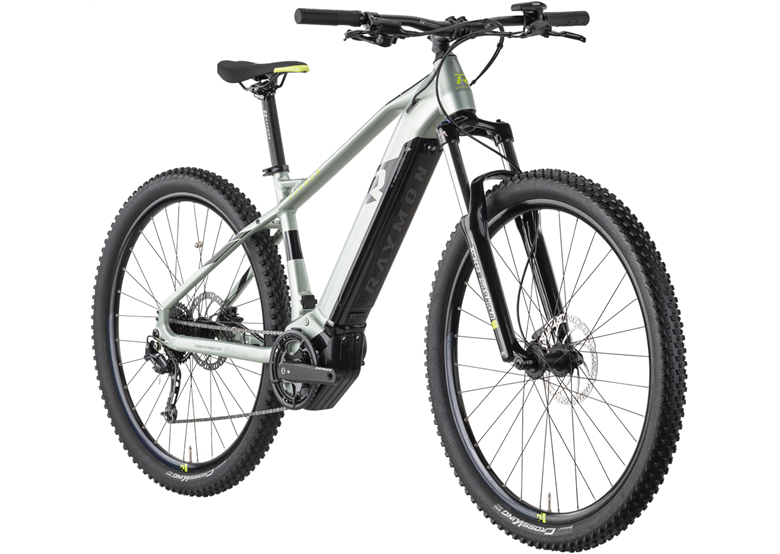 Rower elektryczny R-RAYMON HardRay E 5.0 29