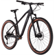 Rower MTB R-RAYMON HardRay Nine 6.0