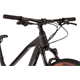 Rower MTB R-RAYMON HardRay Nine 6.0