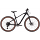 Rower MTB R-RAYMON HardRay Nine 6.0