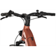 Rower elektryczny R-RAYMON Metmo Nexus (1x8)