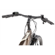 Rower elektryczny R-RAYMON TourRay E 5.0 Gent 9S M350