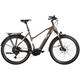 Rower elektryczny damski R-RAYMON TourRay E 5.0 Lady 9S M350