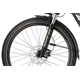 Rower elektryczny damski R-RAYMON TourRay E 5.0 Lady 9S M350
