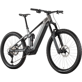 Rower elektryczny R-RAYMON Vamok Ultra