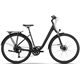 Rower trekkingowy R-RAYMON Zayn Pro