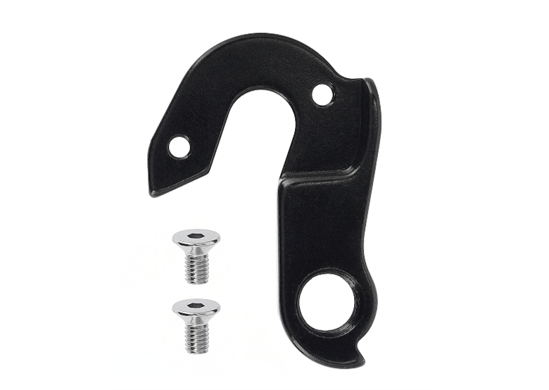 Hak przerzutki RAYMON #2