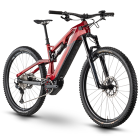 Rower elektryczny RAYMON AirRay 10.0 SX/NX