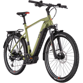 Rower elektryczny RAYMON CrossRay E 5.0 9S M350