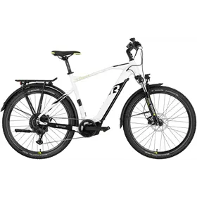 Rower elektryczny RAYMON CrossRay E 5.0 9S M350