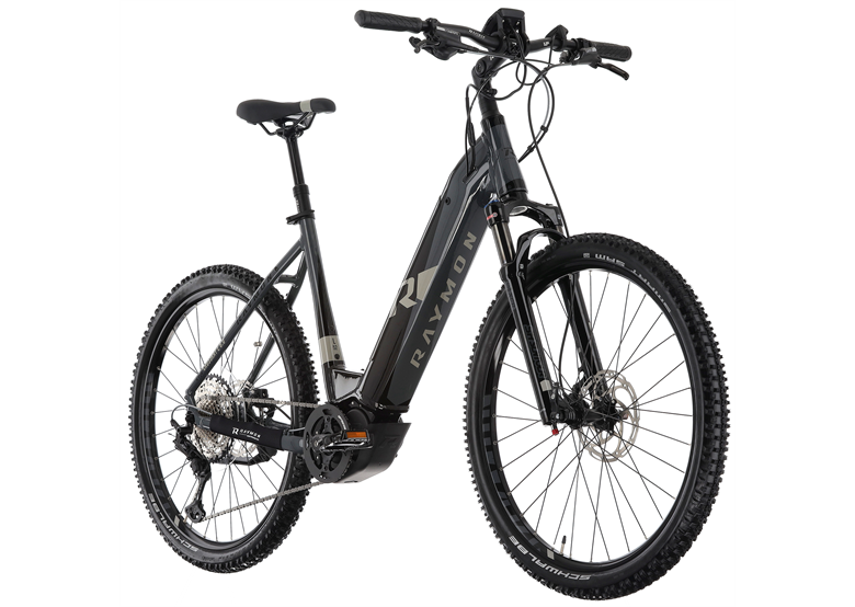Rower elektryczny RAYMON CrossRay E 8.0