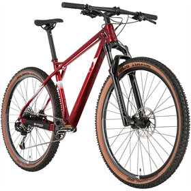 Rower MTB RAYMON HardRay 7.0