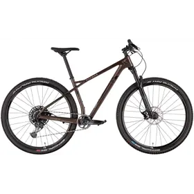 Rower MTB RAYMON HardRay 8.0