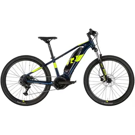 Rower elektryczny RAYMON HardRay E 1.0 T350