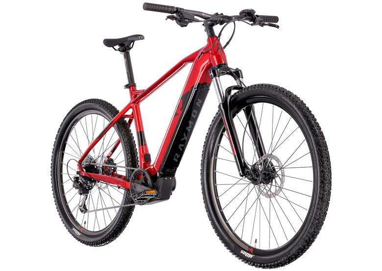 Rower elektryczny RAYMON HardRay E 4.0 29