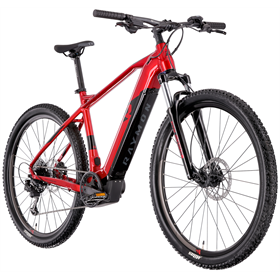 Rower elektryczny RAYMON HardRay E 4.0 29