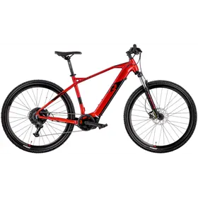 Rower elektryczny RAYMON HardRay E 4.0 29