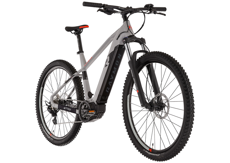 Rower elektryczny RAYMON HardRay E 6.0