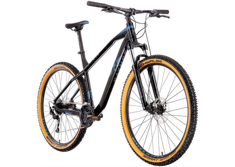 Rower MTB RAYMON HardRay Nine 3.0