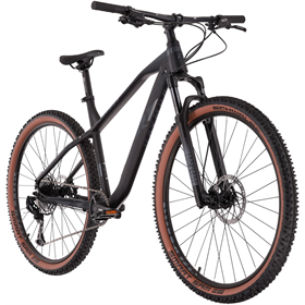 Rower MTB RAYMON HardRay Nine 6.0