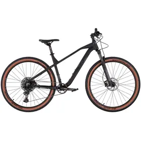 Rower MTB RAYMON HardRay Nine 6.0