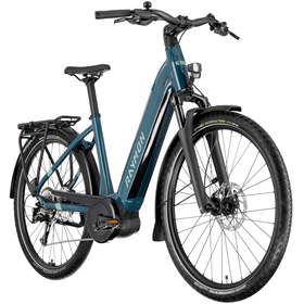 Rower elektryczny RAYMON Metmo Acera (1x8)