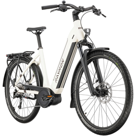 Rower elektryczny RAYMON Metmo Acera (1x8)