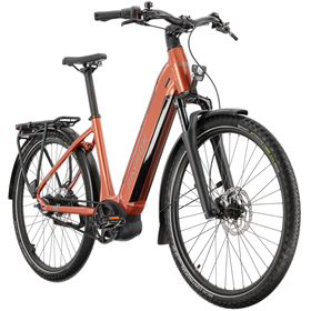 Rower elektryczny RAYMON Metmo Nexus (1x8)