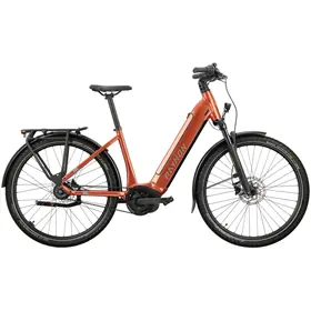 Rower elektryczny RAYMON Metmo Nexus (1x8)