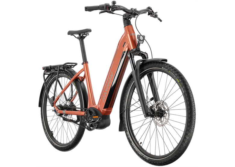 Rower elektryczny RAYMON Metmo Nexus (1x8)