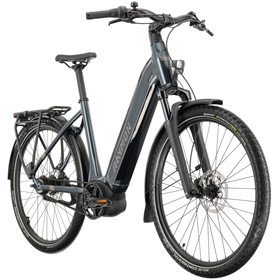 Rower elektryczny RAYMON Metmo Nexus (1x8)