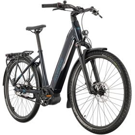 Rower elektryczny RAYMON Metmo Pro