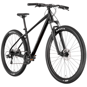 Rower MTB RAYMON Nayta