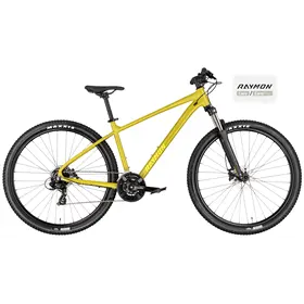 Rower MTB RAYMON Nayta