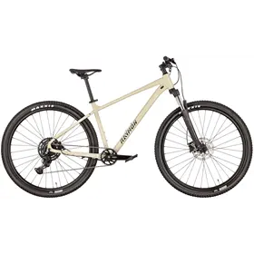 Rower MTB RAYMON Nayta Comp