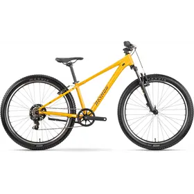 Rower młodzieżowy RAYMON Nayta Comp