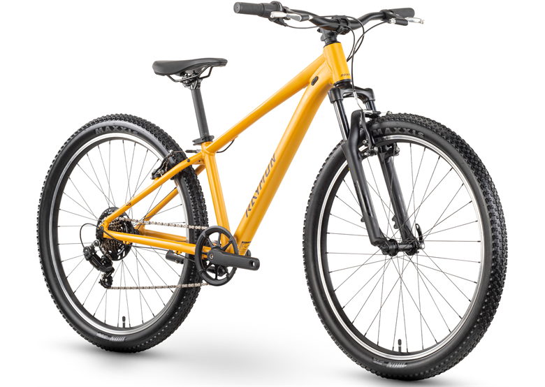 Rower młodzieżowy RAYMON Nayta Comp