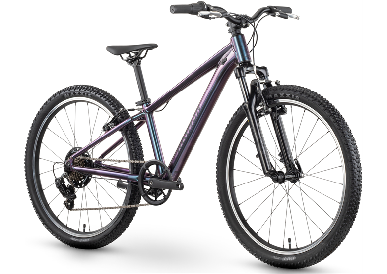 Rower dziecięcy RAYMON Nayta Comp