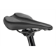 Rower elektryczny RAYMON Ravor LT Pro