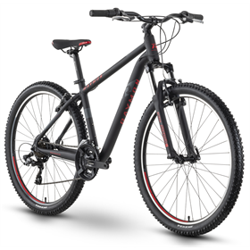 Rower MTB RAYMON SevenRay 1.0