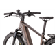 Rower elektryczny RAYMON Tahona