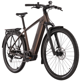 Rower elektryczny RAYMON Tahona