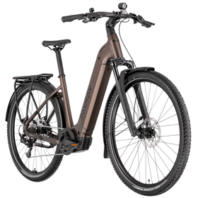 Rower elektryczny RAYMON Tahona